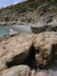 dscn1220.jpg