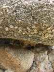dscn1221.jpg