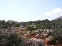 dscn1226.jpg