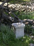 dscn1231.jpg