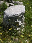dscn1233.jpg