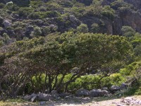 dscn1234.jpg