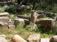 dscn1235.jpg