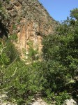 dscn1236.jpg