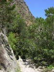 dscn1237.jpg