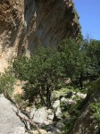 dscn1238.jpg