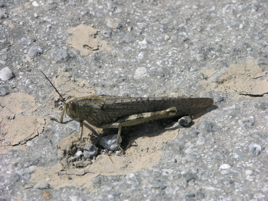 dscn1240.jpg