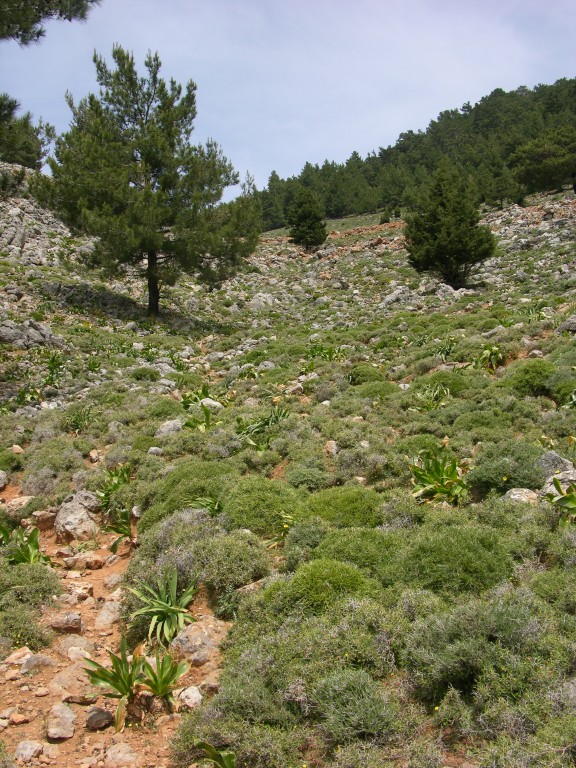 dscn1242.jpg