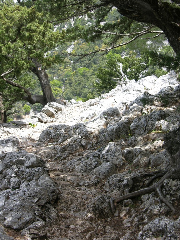 dscn1243.jpg