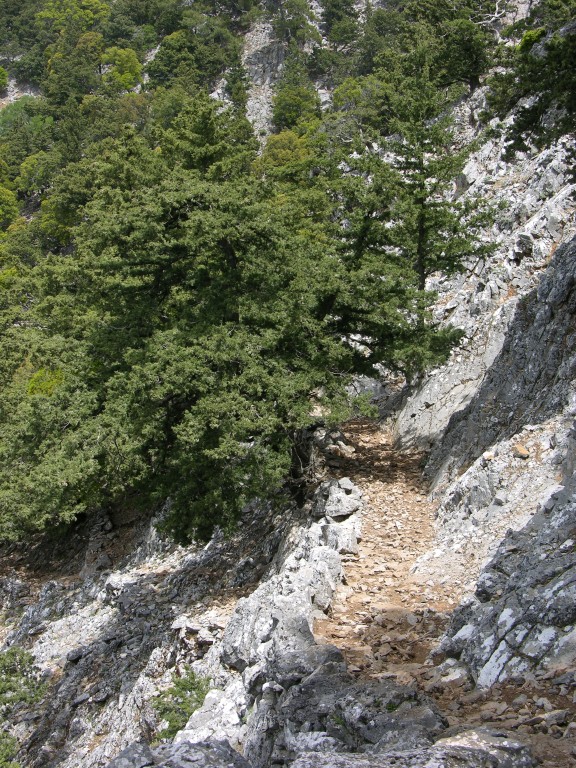 dscn1244.jpg