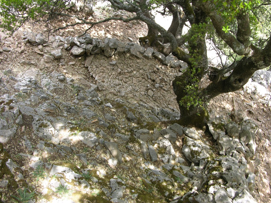 dscn1245.jpg