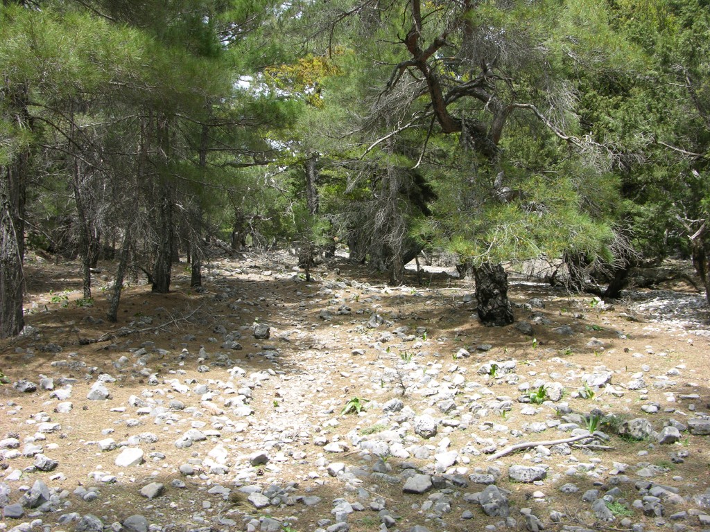 dscn1246.jpg