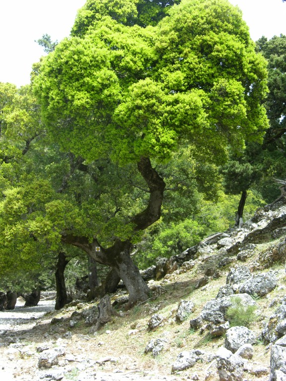 dscn1247.jpg