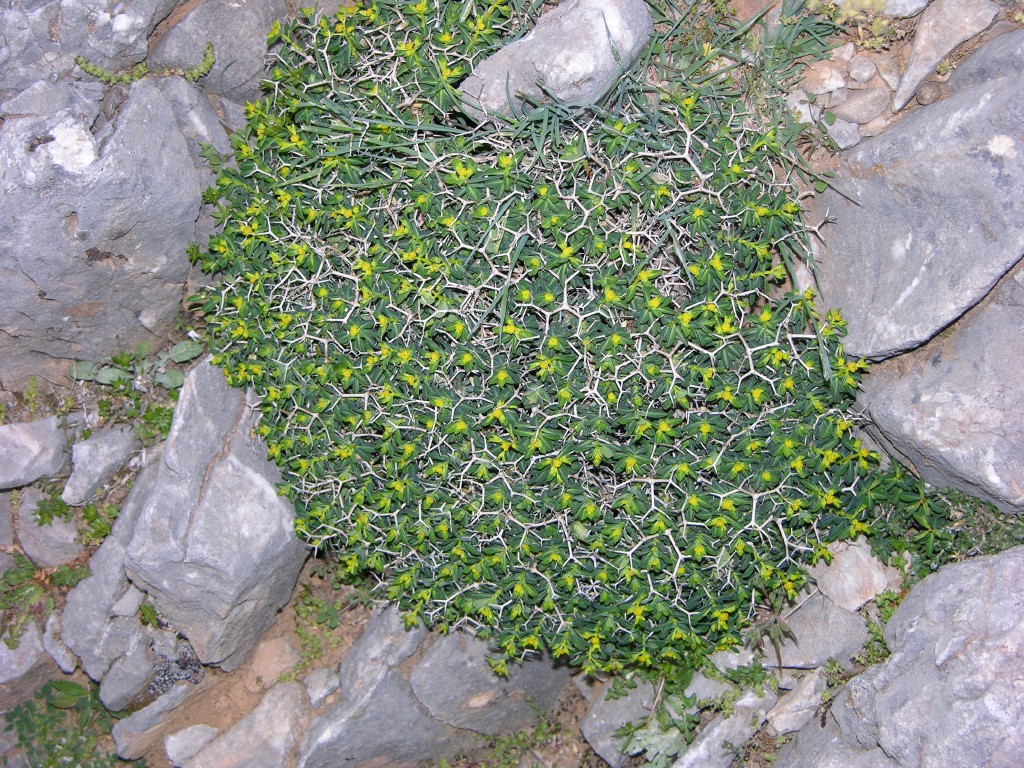 dscn1250.jpg
