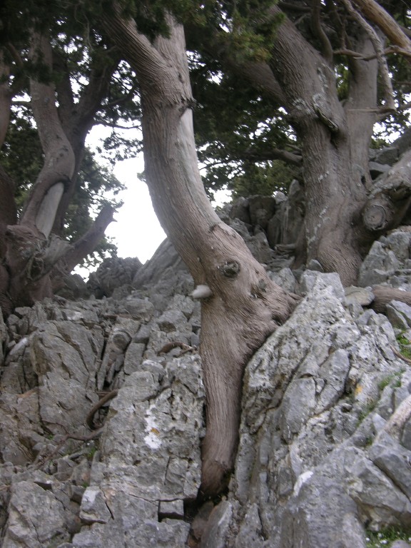 dscn1252.jpg