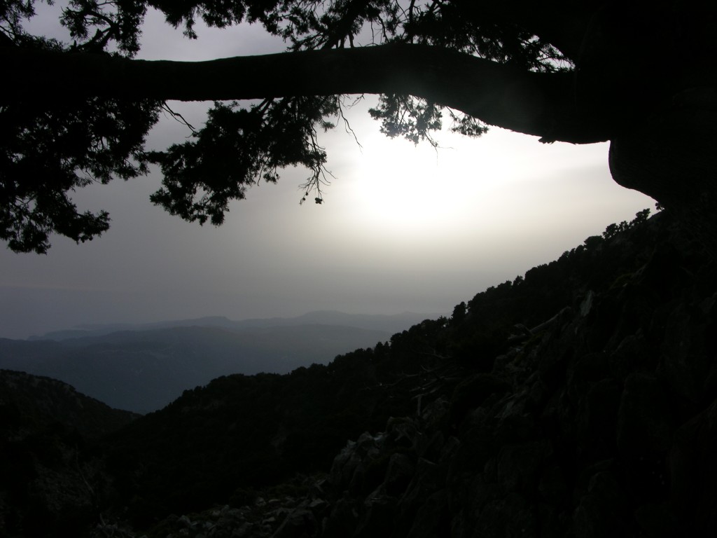 dscn1253.jpg