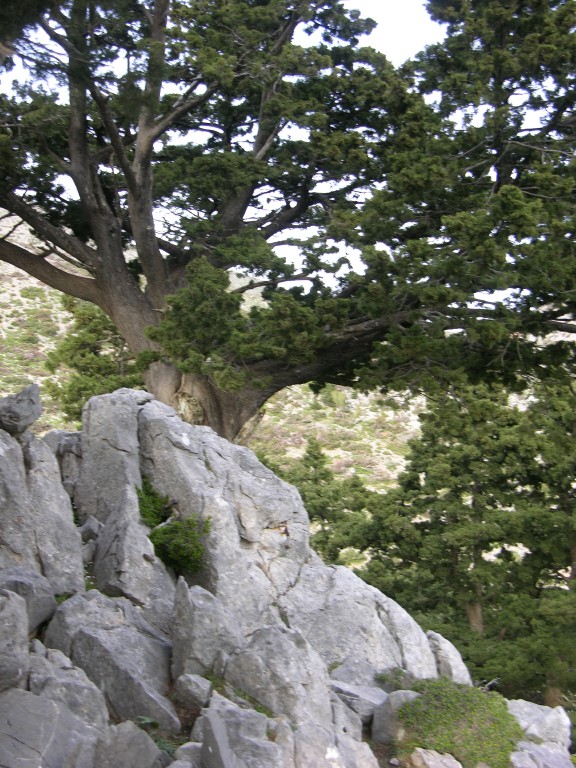 dscn1254.jpg