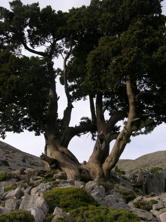 dscn1255.jpg