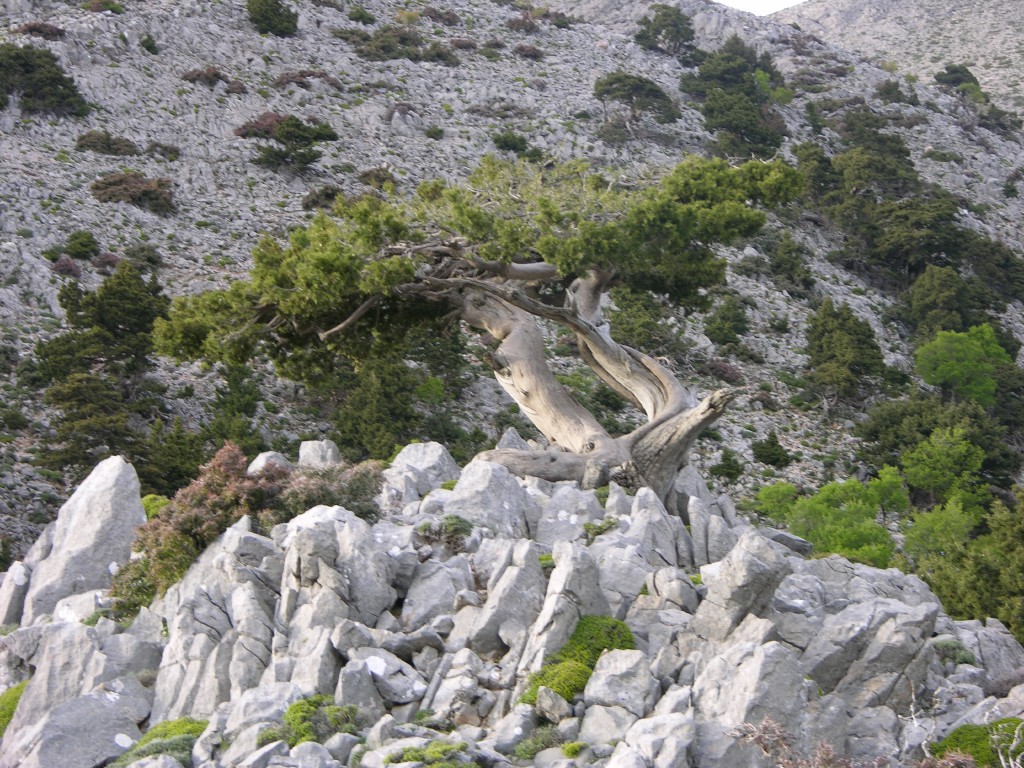 dscn1256.jpg