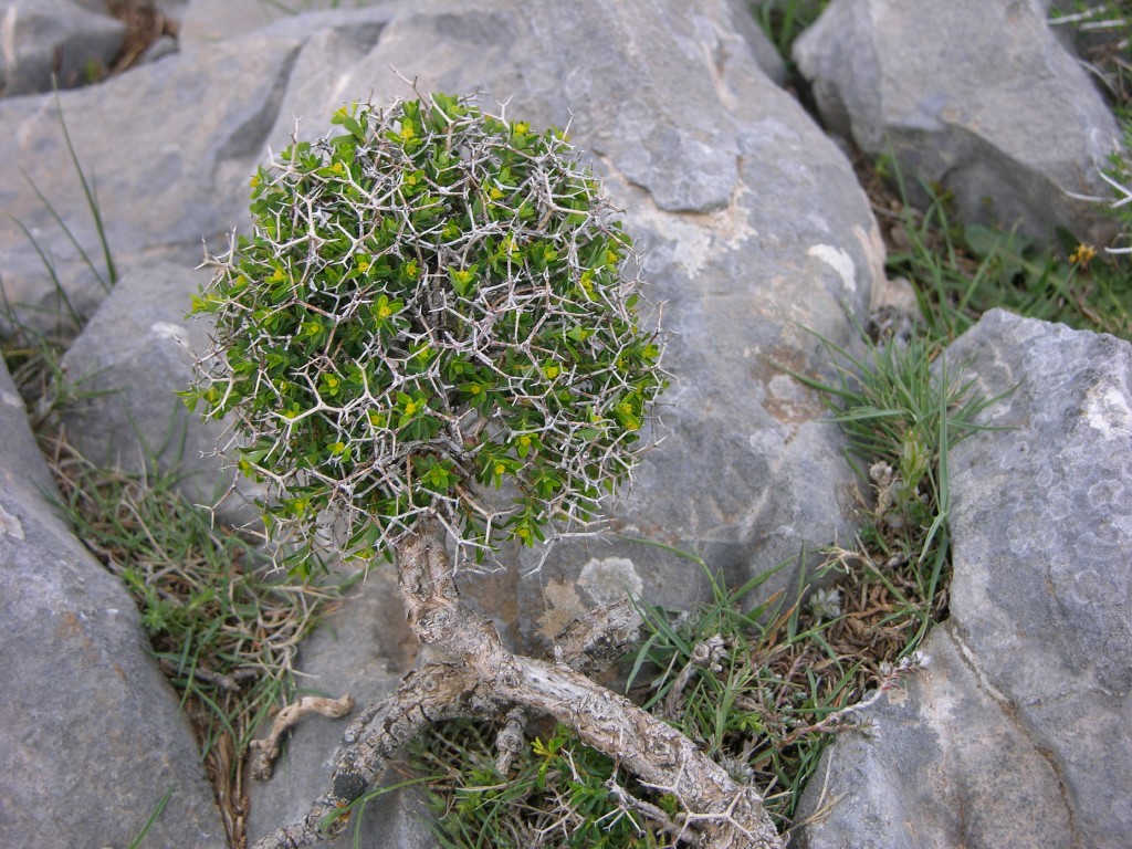 dscn1258.jpg