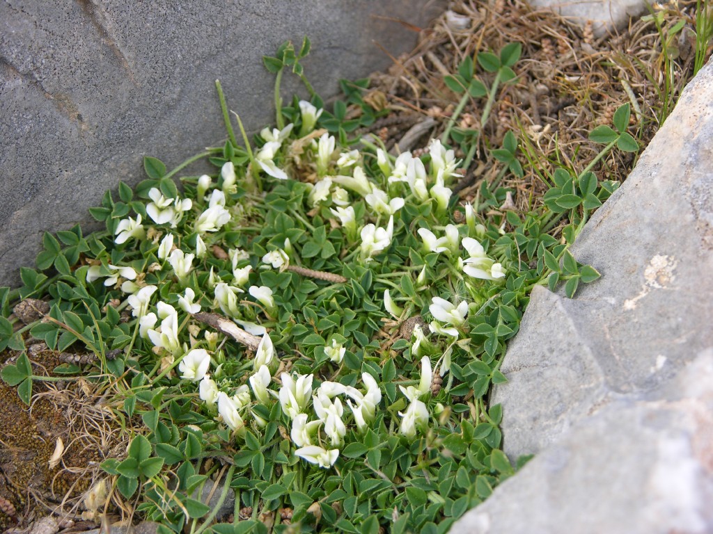 dscn1259.jpg