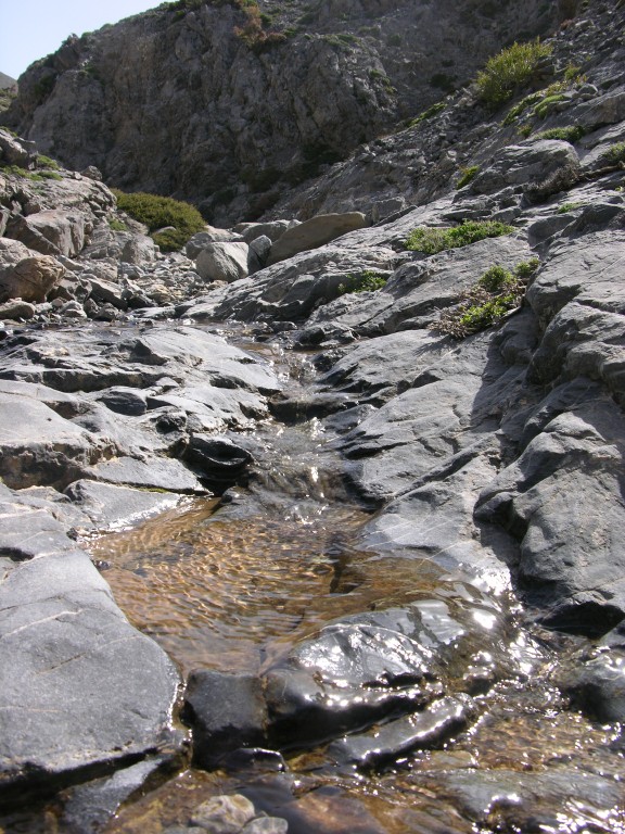 dscn1266.jpg
