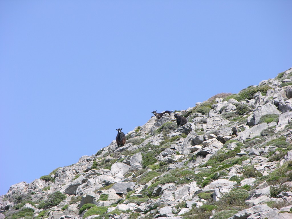 dscn1267.jpg