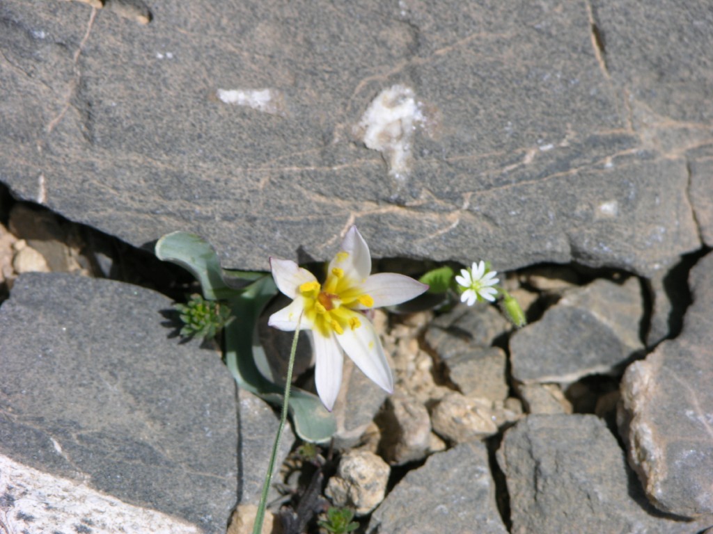 dscn1268.jpg