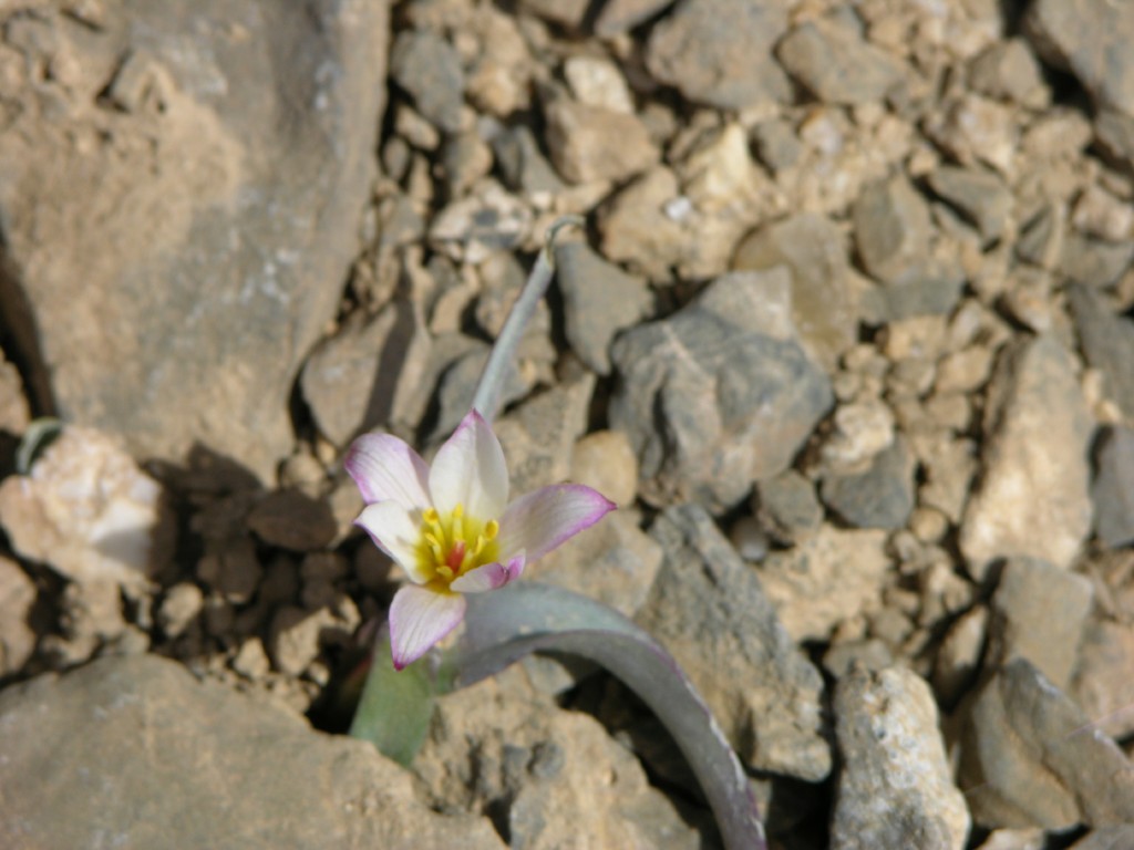 dscn1269.jpg