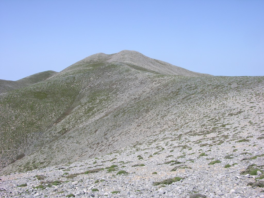 dscn1270.jpg