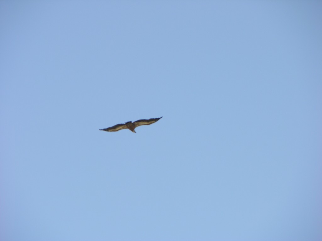 dscn1272.jpg