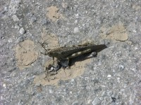 dscn1239.jpg