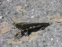 dscn1240.jpg