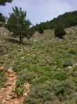dscn1242.jpg