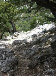 dscn1243.jpg