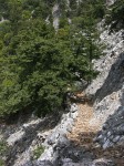 dscn1244.jpg