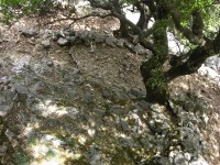 dscn1245.jpg