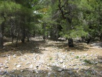 dscn1246.jpg