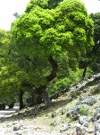 dscn1247.jpg