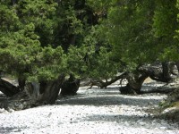 dscn1248.jpg