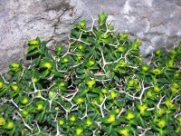 dscn1251.jpg