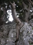 dscn1252.jpg