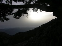 dscn1253.jpg