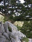 dscn1254.jpg