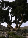 dscn1255.jpg
