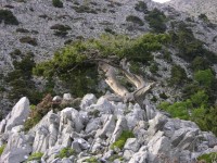 dscn1256.jpg