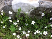 dscn1260.jpg