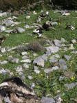 dscn1264.jpg