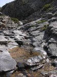 dscn1266.jpg