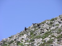 dscn1267.jpg